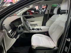 Lion Platinum Expands The Boundary Lion Extension 1.5T two-wheel drive premium version - фото 4