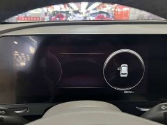 Lion Platinum Expands The Boundary Lion Extension 1.5T two-wheel drive premium version - фото 8