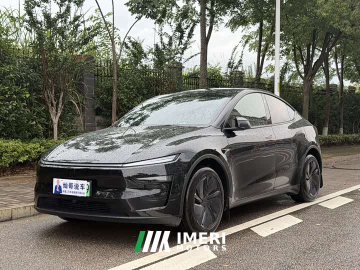 Tesla Model Y rear-wheel drive version - автомобиль из Китая