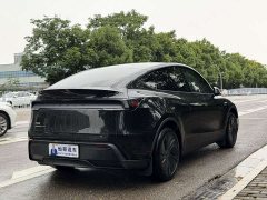 Tesla Model Y rear-wheel drive version - фото 12