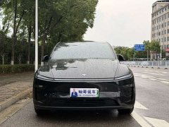 Tesla Model Y rear-wheel drive version - фото 2