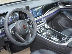 Hongqi H9 2020 2.0T Zhilian Qixiang Edition - фото 12