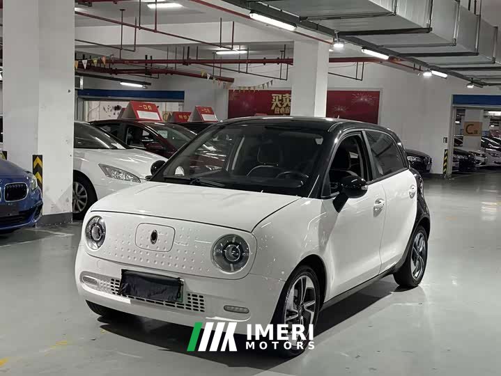 Ora Euler Black Cat 301km Cute Pet Edition Lithium Iron Phosphate - автомобиль из Китая