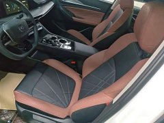 Changan Eado PLUS Blue Whale NE 1.4T GDI DCT High-Energy Edition - фото 15