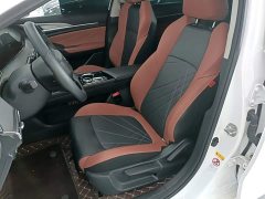 Changan Eado 2024 PLUS Blue Whale NE 1.4T GDI DCT High-Energy Edition - фото 15