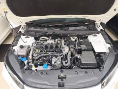 Changan Eado Blue Whale 1.5T 500Bar flagship - фото 20