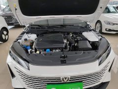 Changan Yida Blue Whale NE 1.5T GDI DCT Pilot Edition - фото 20