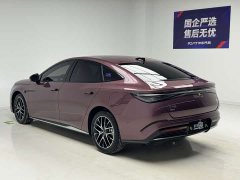 BYD Seal 07 DM-i smart driving version DM-i 1.5L 125km luxury - фото 6