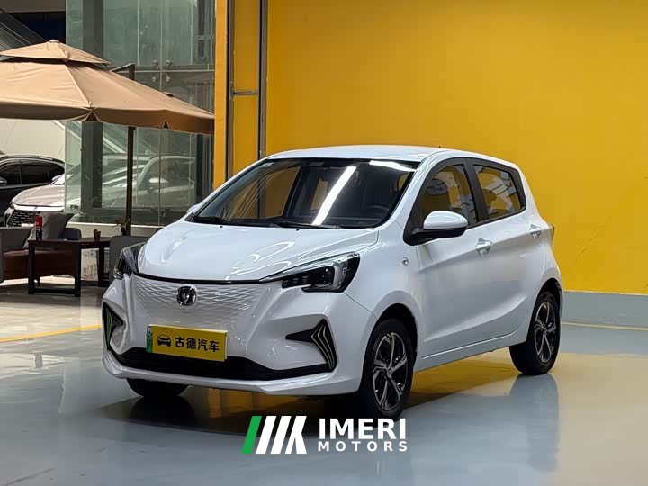Changan Benben E-Star 2020 Xinyue Edition LFP (31.95 kWh) - автомобиль из Китая