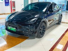Tesla Model Y rear-wheel drive version - фото 1
