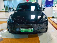 Tesla Model Y rear-wheel drive version - фото 2