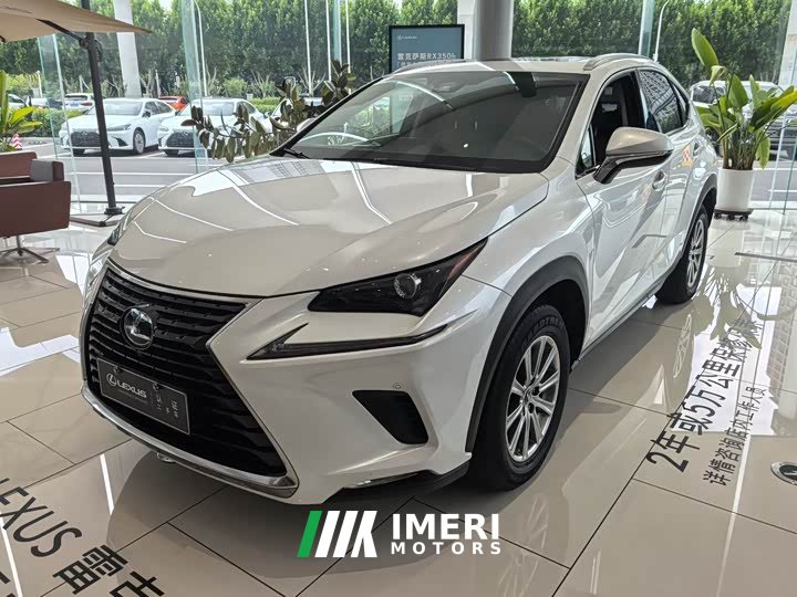 Lexus NX 2020 200 AWD Fengshang Edition National VI
