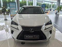 Lexus NX 2020 200 AWD Fengshang Edition National VI - фото 2