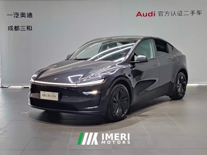 Tesla Model Y rear-wheel drive version - автомобиль из Китая