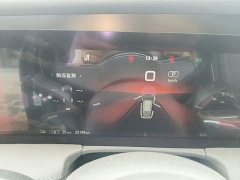 Hongqi E-HS9 2021 Qixian Edition 6-Seater - фото 12
