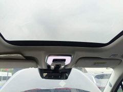 Hongqi E-HS9 2021 Qixian Edition 6-Seater - фото 18