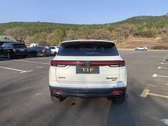 Changan CS35PLUS Blue Whale NE 1.4T DCT luxury - фото 5