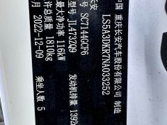 Changan CS35PLUS 2021 Blue Whale NE 1.4T DCT luxury - фото 7