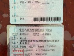 Changan EADO Enjoy Edition PLUS Blue Whale NE 1.4T GDI DCT Premium Edition - фото 17
