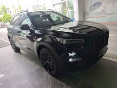 Hongqi HS5 2.0T two-wheel drive Xuanying Edition - фото 4