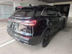 Hongqi HS5 2.0T two-wheel drive Xuanying Edition - фото 7