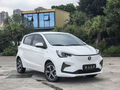 Changan Benben E-Star 2020 Heartbeat Edition ternary lithium - фото 8