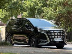 Denza D9 DM-i 970 four-wheel drive flagship - фото 3