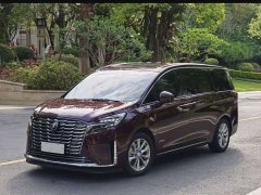 Buick GL8 2023 Avenir Six-seater Xianli Edition - фото 1