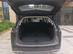 Hongqi HS7 PHEV 2.0T PHEV AWD Qichang Edition 7-Seater - фото 19