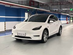 Tesla Model Y rear-wheel drive version - фото 1