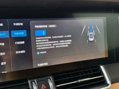 Li Auto ONE 2021 Extended-Range 6-Seater - фото 15