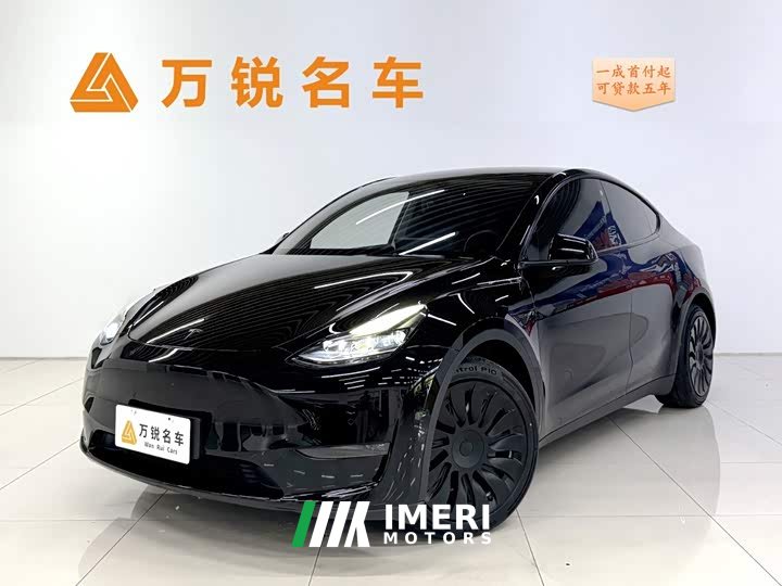 Tesla Model Y standard range rear-wheel drive version - автомобиль из Китая