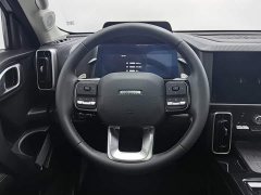 Haval Big Dog 2021 1.5T DCT two-wheel drive Border Collie version - фото 11