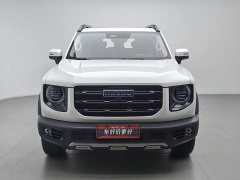 Haval Big Dog 2021 1.5T DCT two-wheel drive Border Collie version - фото 3