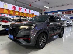 Changan CS55 PLUS Blue Whale Edition 1.5T DCT Luxury - фото 1