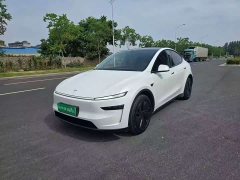 Tesla Model Y rear-wheel drive version - фото 1