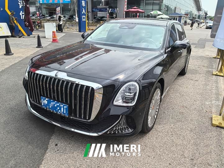 Hongqi Golden Sunflower Guoya 2024 4.0T V8 version - автомобиль из Китая