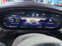 Hongqi Golden Sunflower Guoya 2024 4.0T V8 version - фото 3