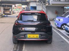 smart elf #1 2022 BRABUS performance version - фото 12