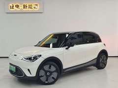 smart Elf #1 2022 Premium Edition - фото 1