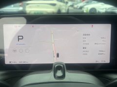 Xpeng P7 P7i 702 Max Pengyi Edition - фото 14