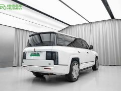 Yangwang U8 L 2025 Prestige Edition - фото 4