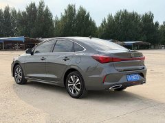 Changan EADO PLUS Blue Whale NE 1.4T GDI DCT Premium Edition - фото 5