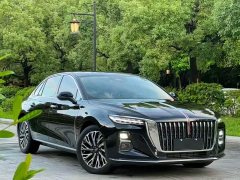 Hongqi H5 2025 2.0T automatic Qichang version - фото 1