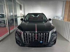 Hongqi HS5 2025 2.0T two-wheel drive Qixiang Pro version - фото 2