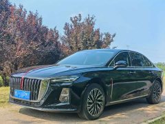 Hongqi H5 2025 2.0T automatic Qichang version - фото 1