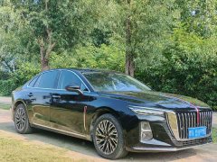 Hongqi H5 2025 2.0T automatic Qichang version - фото 3