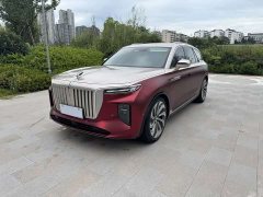 Hongqi E-HS9 510km flag collar version four seats - фото 1