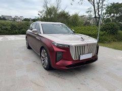 Hongqi E-HS9 510km flag collar version four seats - фото 2