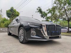 Hongqi H5 2023 2.0T Automatic Intelligent Connected Flag Edition - фото 3
